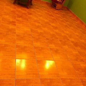 237 مكافحة حشرات الفروانية - مكافحة حشرات وقوارض الفروانية - الاتصال 91111288 - شركة حشرات - شركة مكافحة حشرات - مكافحة بق - مكافحة قوارض - مكافحة حشرات الكويت