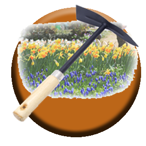 %D8%AA%D9%86%D8%B3%D9%8A%D9%82 %D8%AD%D8%AF%D8%A7%D8%A6%D9%82 1 الرئيسية