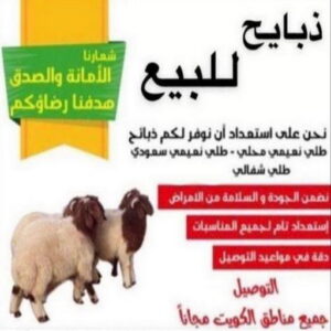 قصاب - قصاب متنقل - بالكويت 60777317 - ذبايح - ذبائح الكويت - غنم للبيع - اغنام للبيع - ذبايح للبيع - غنم - سوق غنم - اغنام عربى للبيع - جزار - ذبائح 2 1676441160368 قصاب - قصاب متنقل - بالكويت 60777317 - ذبايح - ذبائح الكويت - غنم للبيع - اغنام للبيع - ذبايح للبيع - غنم - سوق غنم - اغنام عربى للبيع - جزار - ذبائح