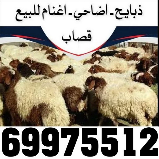 فني المنيوم - الاتصال 97488682 8 2 فني المنيوم - الاتصال 97488682