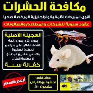 WhatsApp Image 2020 12 28 at 12.01.54 AM مكافحة حشرات الفروانية - مكافحة حشرات وقوارض الفروانية - الاتصال 91111288 - شركة حشرات - شركة مكافحة حشرات - مكافحة بق - مكافحة قوارض - مكافحة حشرات الكويت