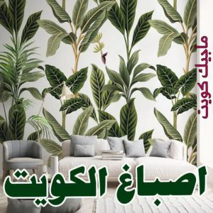 صباغ الصالحية - اصباغ الصالحية - ابوحسين 97319277 ☎ - صباغ رخيص - رقم صباغ رخيص - رقم صباغ - صباغ شاطر - صباغ خشب - اصباغ جوتن - اصباغ الكويت - صباغين - صباغ الكويت (نسخة) 4 اصباغ الكويت