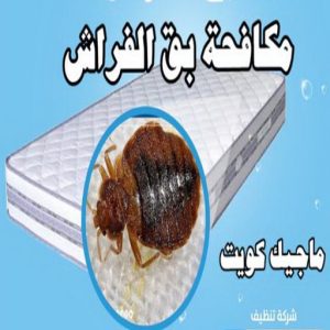 مكافحة بق مكافحة حشرات الفروانية - مكافحة حشرات وقوارض الفروانية - الاتصال 91111288 - شركة حشرات - شركة مكافحة حشرات - مكافحة بق - مكافحة قوارض - مكافحة حشرات الكويت