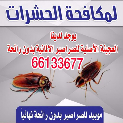 pest control مكافحة حشرات - الاتصال 50881319 - مكافحة حشرات الكويت - شركة مكافحة حشرات - رقم مكافحة حشرات - مكافحة حشرات وقوارض - رش حشرات - مكافحة حشرة - مكافحة حشرات رخيصة