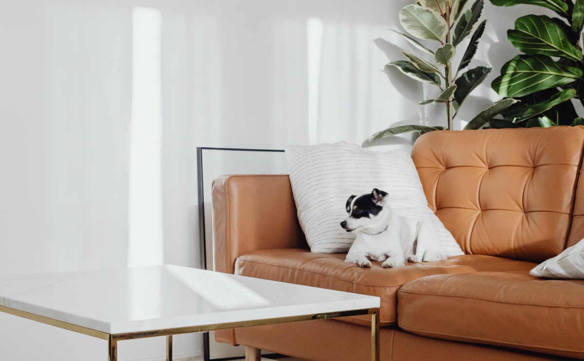 wd furniture blog 5 opt Flowing serpentines